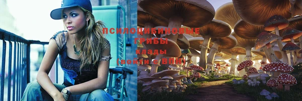 эйфоретик Дрезна