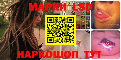 крисы Гатчина