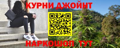 крисы Гатчина
