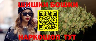 крисы Гатчина