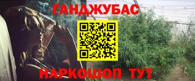 крисы Гатчина