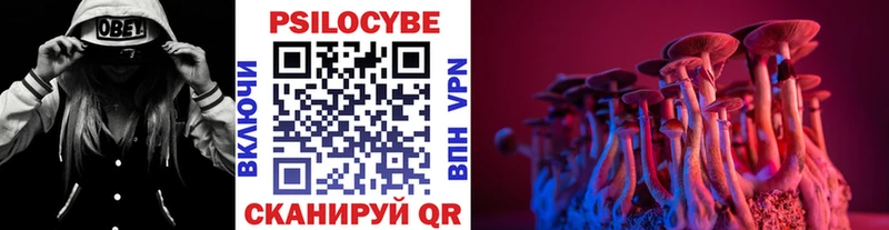 блэк спрут ССЫЛКА  где найти   Полысаево  Псилоцибиновые грибы ЛСД 