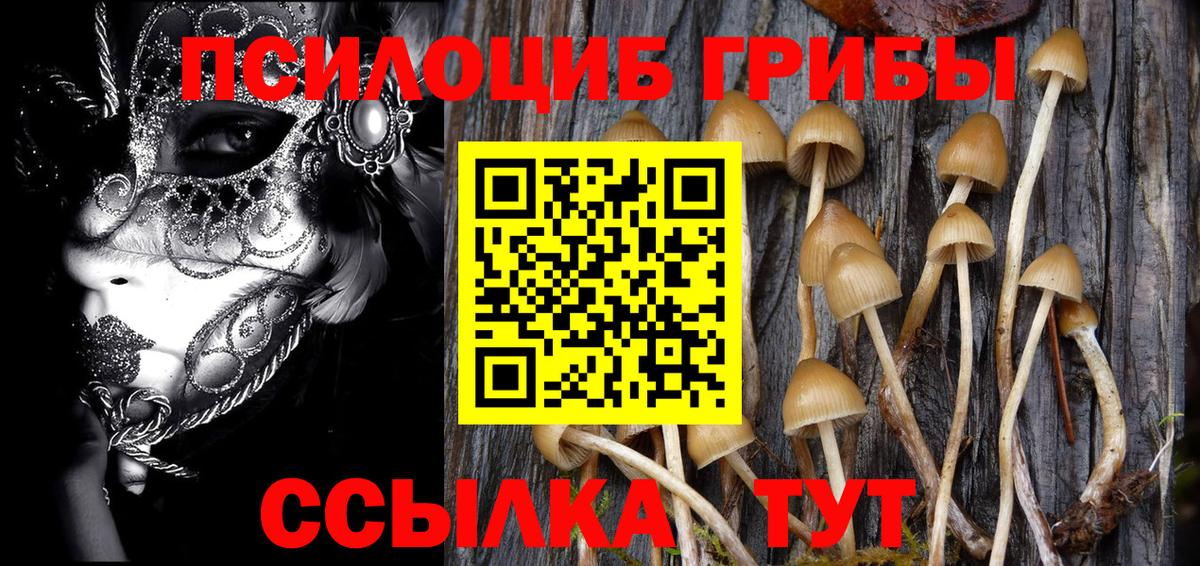 Псилоцибиновые грибы мицелий Полысаево