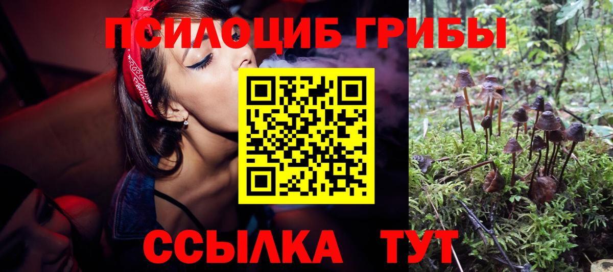 Псилоцибиновые грибы Magic Shrooms  Вход с VPN  где купить наркоту  Полысаево 