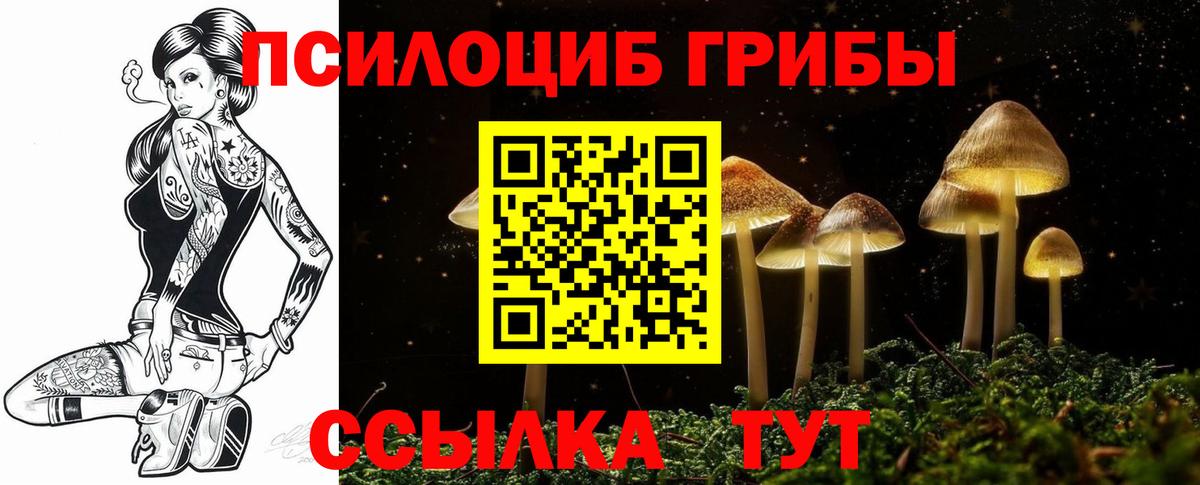 Псилоцибиновые грибы MAGIC MUSHROOMS Полысаево